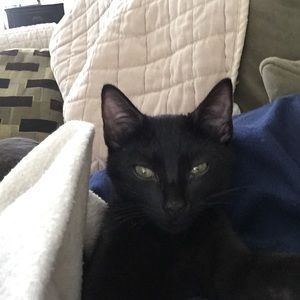 Meet your Posher, Donna